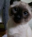 Teodor