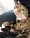 Mimi